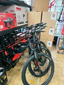 Vélo électrique evo