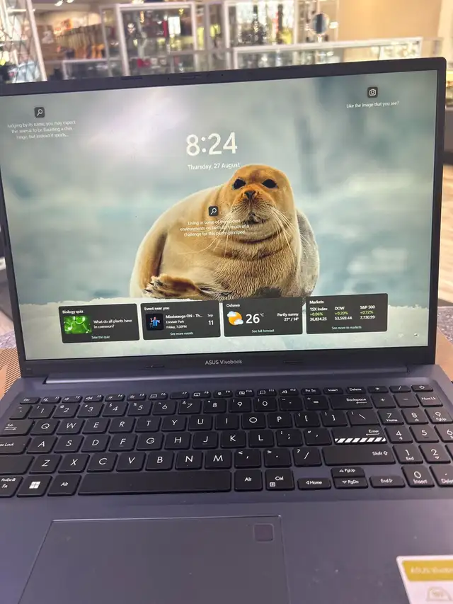 ASUS Vivobook Ryzen 5 Laptop