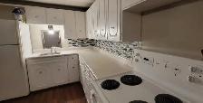 2 BEDROOM APARTMENT(1YR-LEASE) FOR RENT IN BEAUTIFUL ST-ANTOINE!
