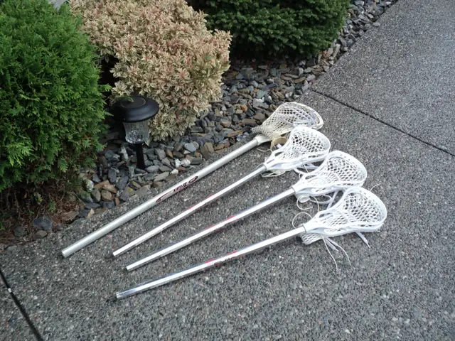 LaCrosse Sticks ~ 3 mini   one REGULAR sized