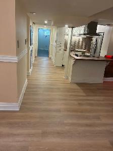 Renovated 1 Bedroom Basement Apartment