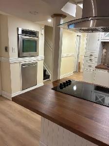 Renovated 1 Bedroom Basement Apartment - Photo 2