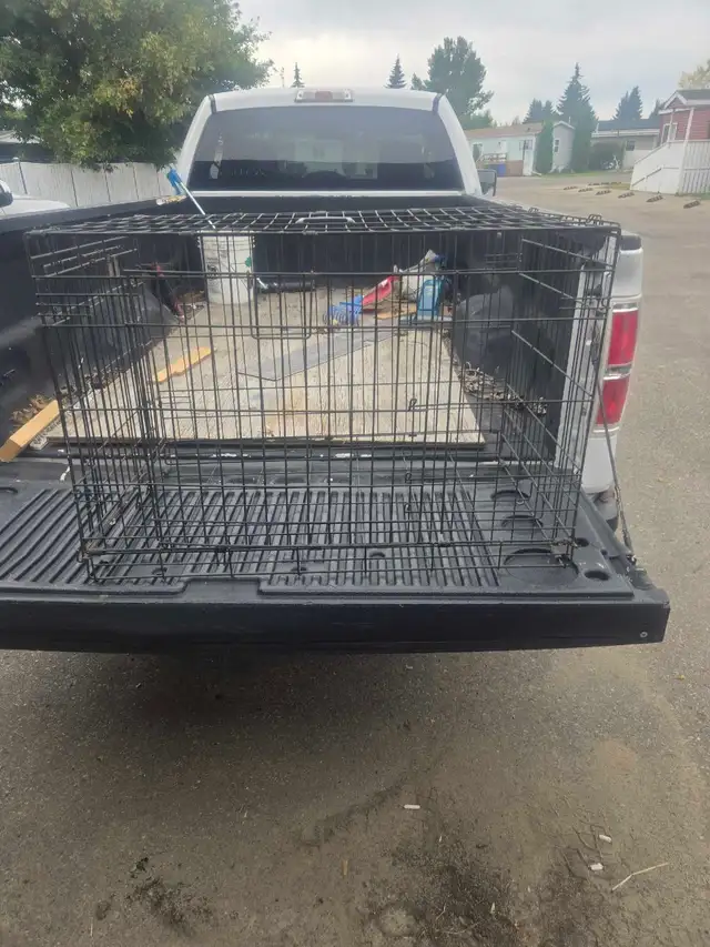 dog crate/cage