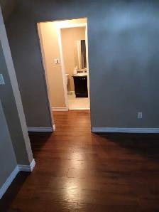 3 BEDROOM BASEMENT IN BRAMPTON