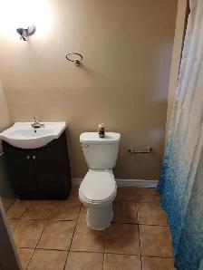 3 BEDROOM BASEMENT IN BRAMPTON - Photo 2