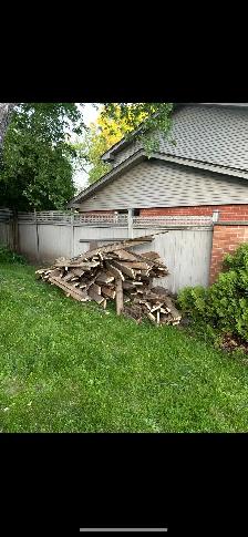 Budget Friendly Junk Removal Services!!!Same Day Pickup! - Photo 6