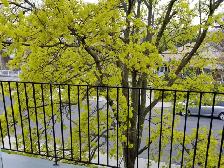 Longueuil, Appartement 4 1/2 - Photo 9