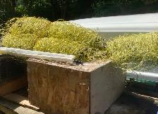 Electric Netting Fencing - Photo 2