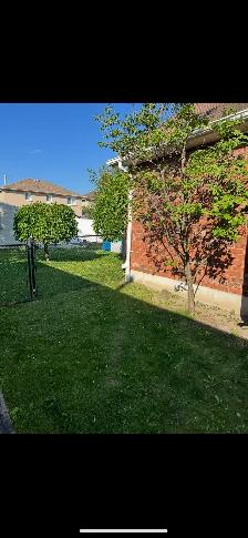 From $99 Garbage/Junk Removal Services!!!Same Day Pickup!!! - Photo 9