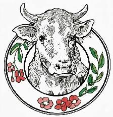butcher assistant
