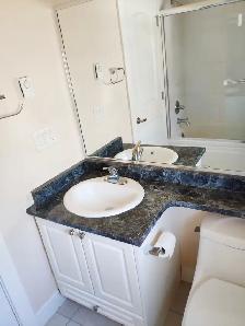 2 BEDROOM Laneway House near Skytrain Langara Oakridge - Photo 7