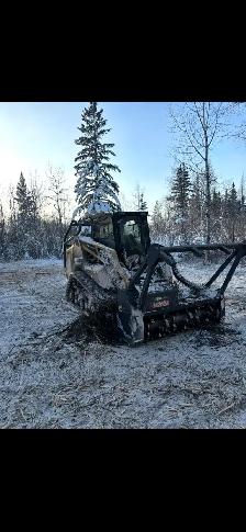 land clearing - Photo 2