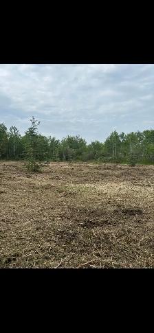 land clearing - Photo 4