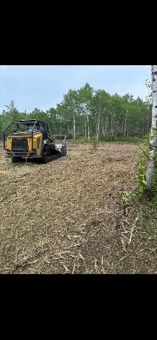land clearing - Photo 5