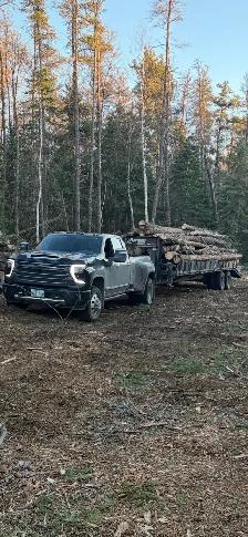 land clearing - Photo 7
