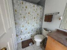 Student Room Rental with PRIVATE BATHROOM at York University - Photo 10