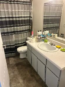room in shared basement for rent Millwoods - Photo 2