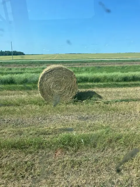 round hay bales