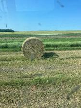 round hay bales