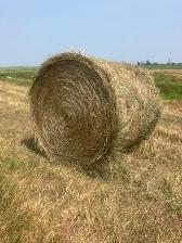 round hay bales - Photo 2