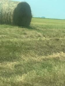 round hay bales - Photo 3