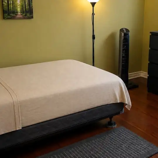 Sept 1-3 ROOMS-$749-$899-20m/Carleton-30m/Ottawa U VIDEO's