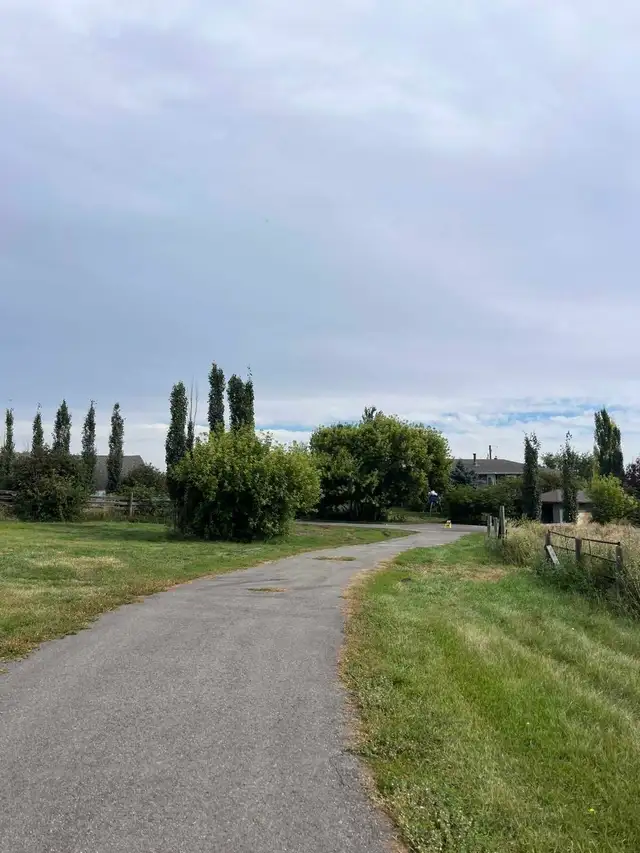 32 Acres - Acreage For Rent! Bungalow, shop, dugout.