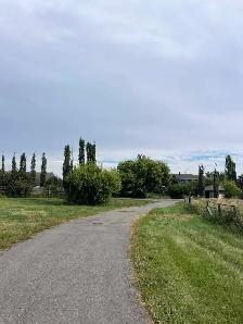 32 Acres - Acreage For Rent! Bungalow, shop, dugout.
