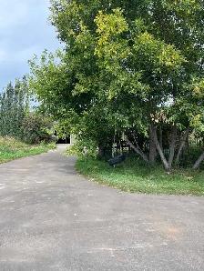 32 Acres - Acreage For Rent! Bungalow, shop, dugout. - Photo 3