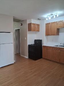 Bright Renovated 2 Bed Main Floor in Allendale - Pet Friendly - Photo 4