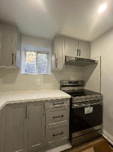 NEW 1 bedroom 1 bathroom basement for rent in Caledon from Sep 1 - Photo 10