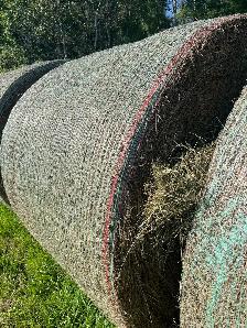 Alfalfa/grass hay - Photo 2