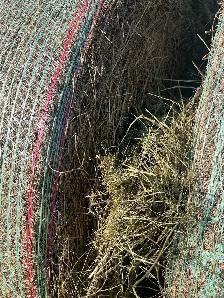 Alfalfa/grass hay - Photo 3