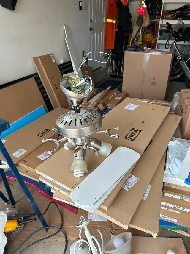 Free ceiling fan with lights