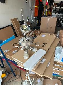 Free ceiling fan with lights