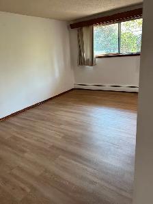 Large, Bright 1-Bedroom - Beverly Heights Apartment - Photo 2