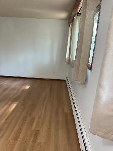 Large, Bright 1-Bedroom - Beverly Heights Apartment - Photo 3