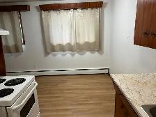 Large, Bright 1-Bedroom - Beverly Heights Apartment - Photo 4