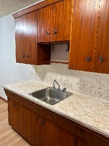 Large, Bright 1-Bedroom - Beverly Heights Apartment - Photo 5