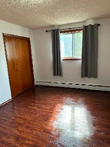 Large, Bright 1-Bedroom - Beverly Heights Apartment - Photo 9