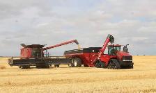 Im looking for farm work next summer full time near maymont sk