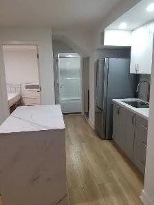 Private Basement Room w/  Bathroom & Kitchen Area - Photo 2