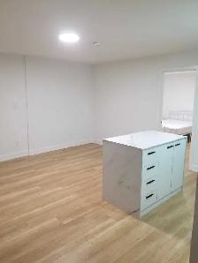 Private Basement Room w/  Bathroom & Kitchen Area - Photo 3