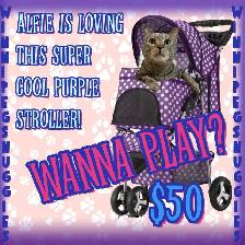 pet stroller sale - Photo 2