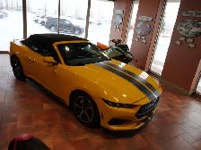 2024 Ford Mustang EcoBoost Premium Convertible with VERY LOW KMS - Photo 12
