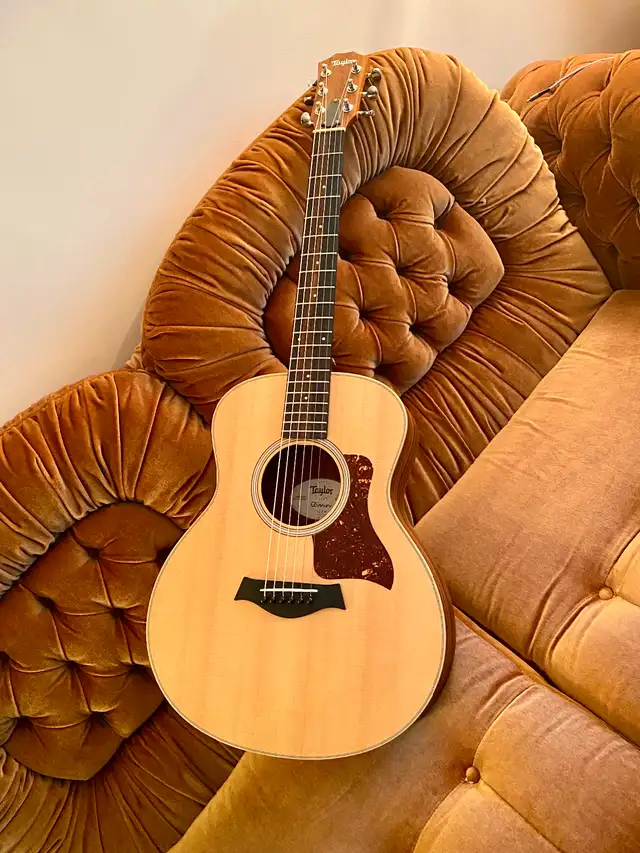 TAYLOR GS Mini Spruce & Rosewood with Electronics, CASE. Great !