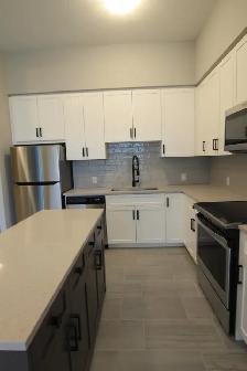 209-73 Arthur Street South - 209-73 Arthur Street Guelph House f - Photo 8