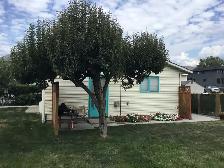 1 bedroom cottage - Photo 18