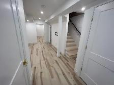 Basement Renovations
