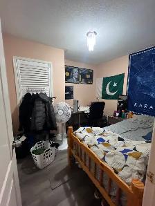 STARTING SEPTEMBER 1ST – 4 ROOMS FOR RENT NEAR YORK UNIVERSITY - Photo 8